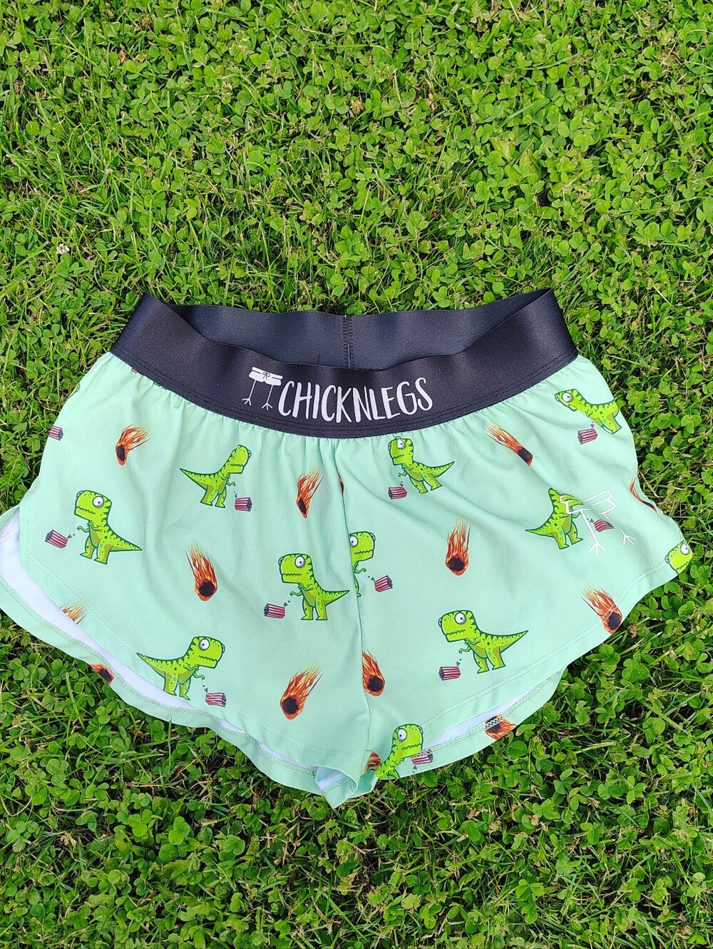 Chicknlegs Shorts Womens Small green Dinosaurs Dino Meteor Chicken Legs Lined